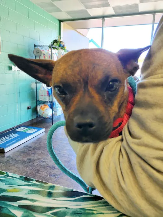 Alexandria Pike Animal Hospital PSC 12