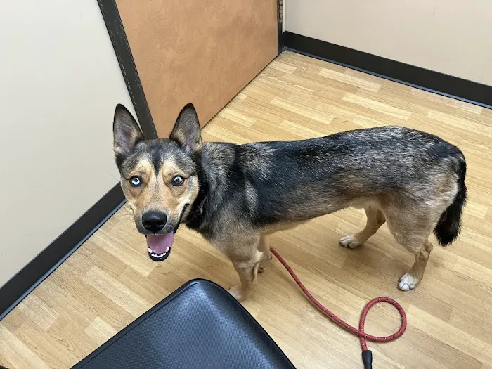 Noah's Ark Animal Clinic of Ft. Wright 12