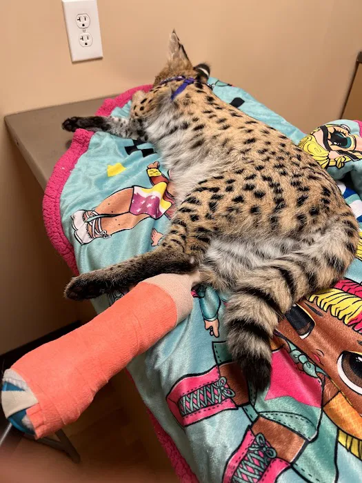 Noah's Ark Animal Clinic of Ft. Wright 12