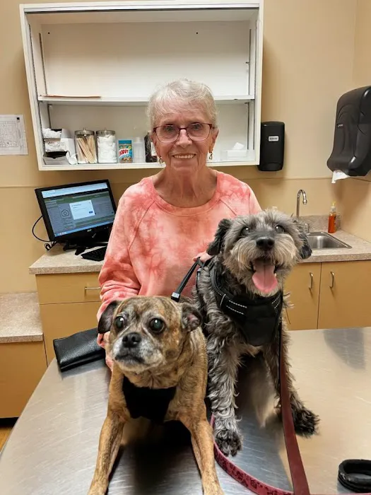 Noah's Ark Animal Clinic of Ft. Wright 12