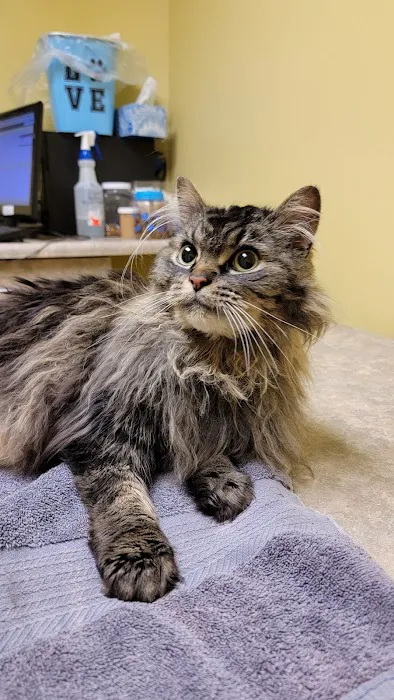 Fort Thomas Animal Hospital 12
