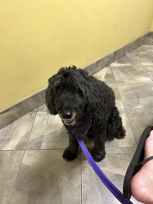 Fort Thomas Animal Hospital 12
