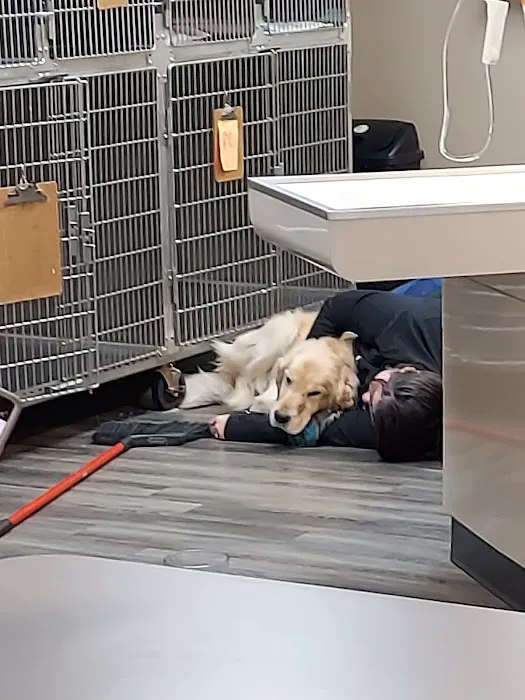 Beechmont Pet Hospital 3