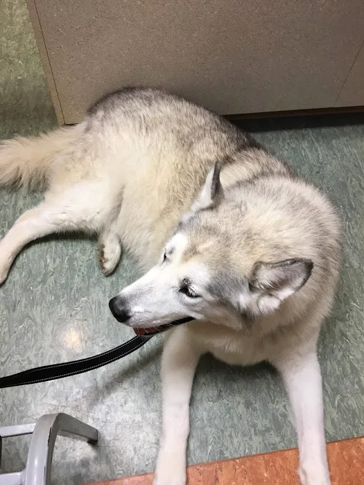 Beechmont Pet Hospital 4