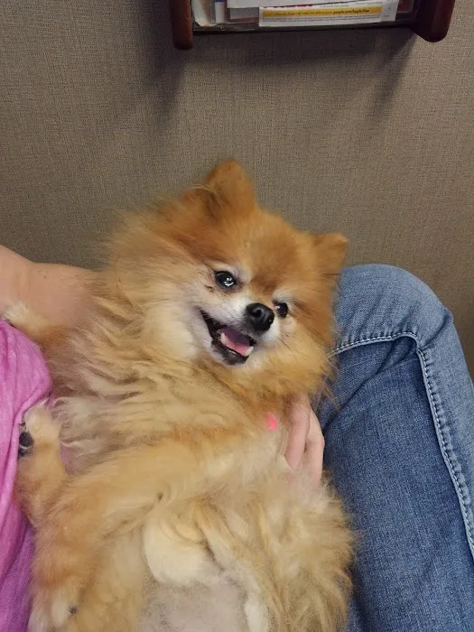 Hillside Small Animal Hospital 12