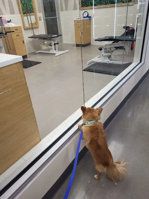 Petco 12
