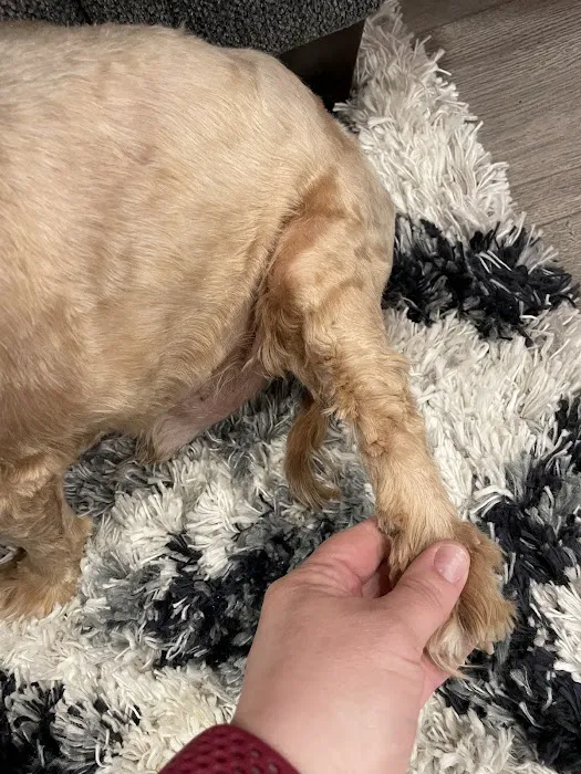 Petco 12