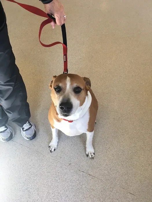 Lake Pointe Veterinary Hospital 12