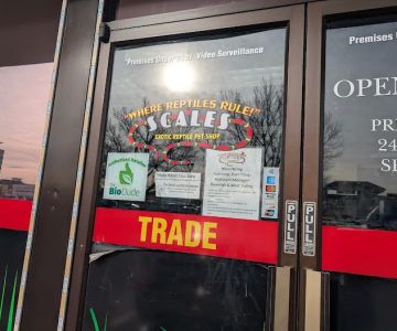 Scales Exotic Reptiles Pet Shop