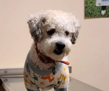 Shirkey Veterinary Clinic