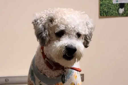 Shirkey Veterinary Clinic