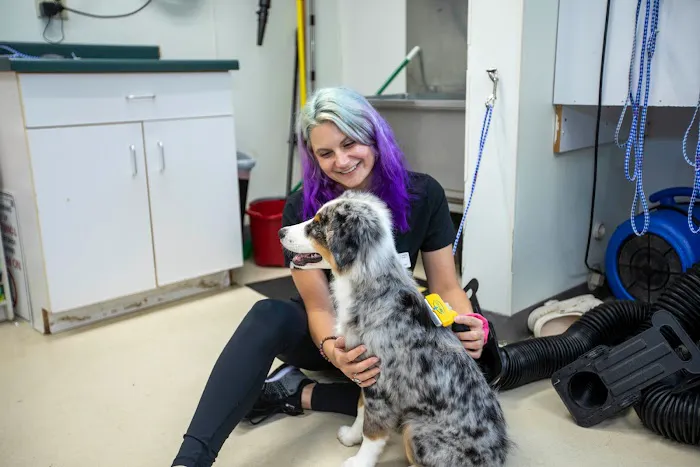 Animal Care Hospital of Morris Inc 12