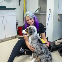 Animal Care Hospital of Morris Inc ico