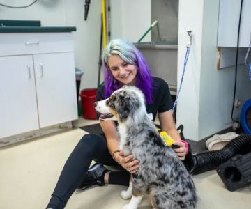 Animal Care Hospital of Morris Inc