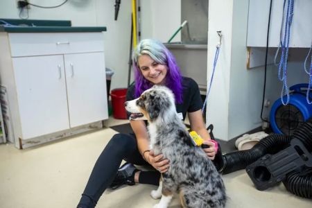 Animal Care Hospital of Morris Inc