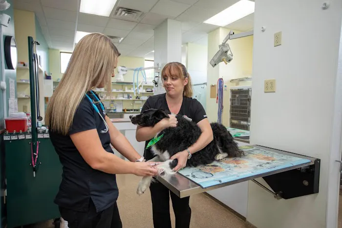 Animal Care Hospital of Morris Inc 12