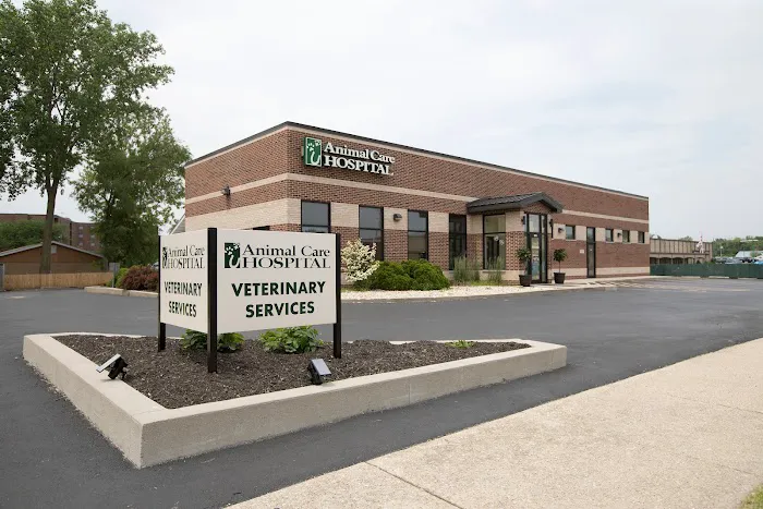 Animal Care Hospital of Morris Inc 12