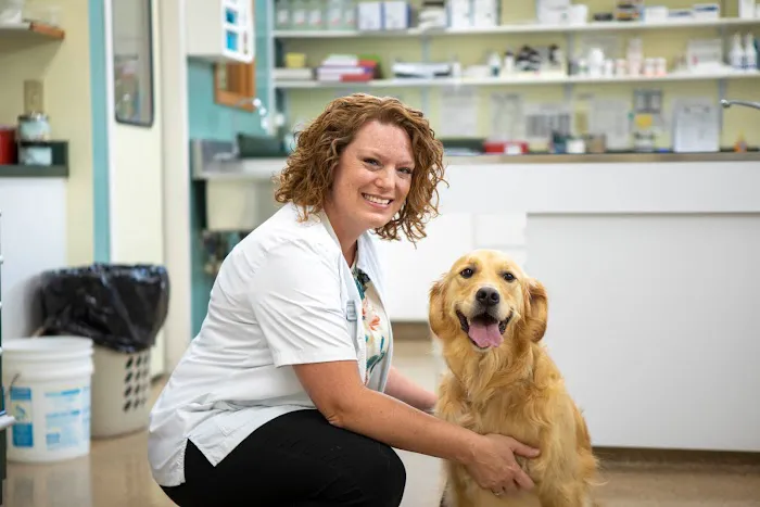 Animal Care Hospital of Morris Inc 12