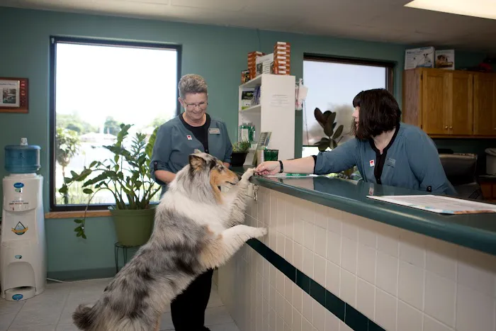 Animal Care Hospital of Morris Inc 12
