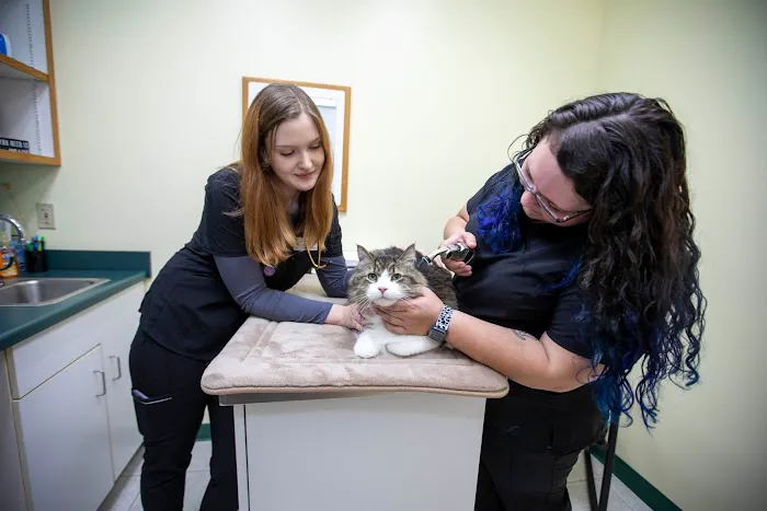 Animal Care Hospital of Morris Inc 12