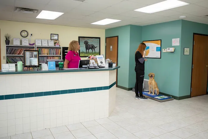 Animal Care Hospital of Morris Inc 12