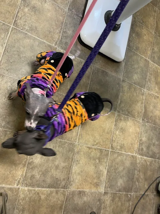 Whitman Veterinary Clinic 12