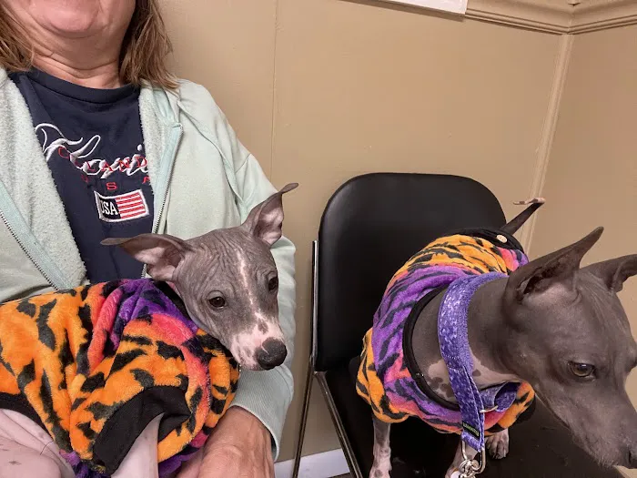 Whitman Veterinary Clinic 12