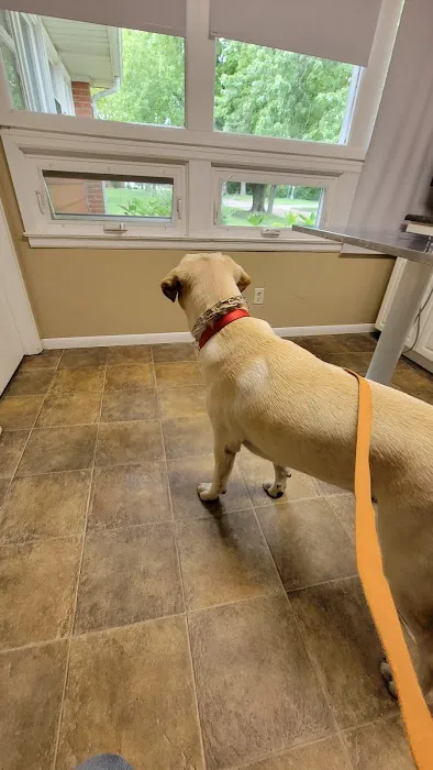 Whitman Veterinary Clinic 12