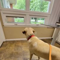 Whitman Veterinary Clinic ico