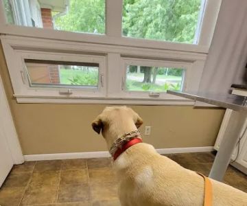 Whitman Veterinary Clinic