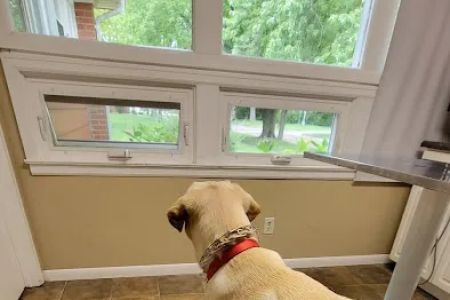 Whitman Veterinary Clinic