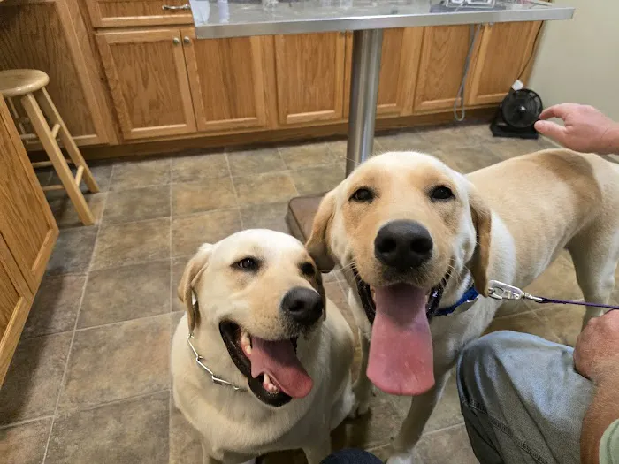 Whitman Veterinary Clinic 12