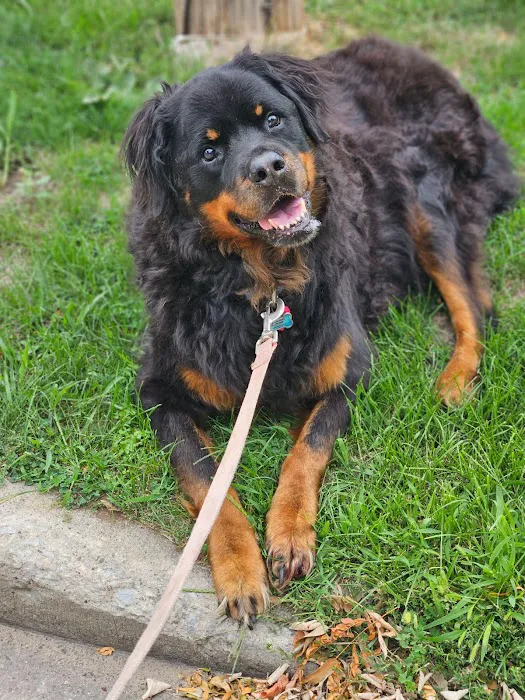 DeForest Veterinary Clinic 12