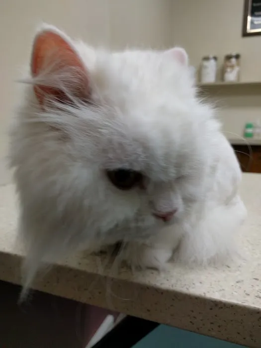 DeForest Veterinary Clinic 12