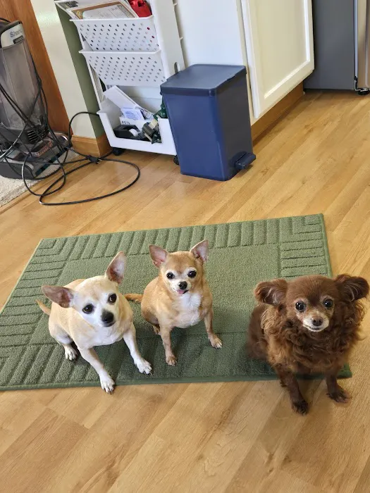 DeForest Veterinary Clinic 12