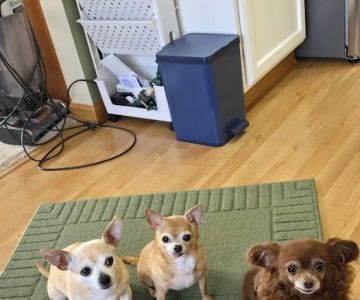 DeForest Veterinary Clinic