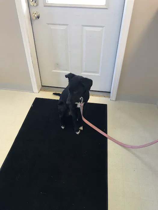 B & R Veterinary Clinic 12