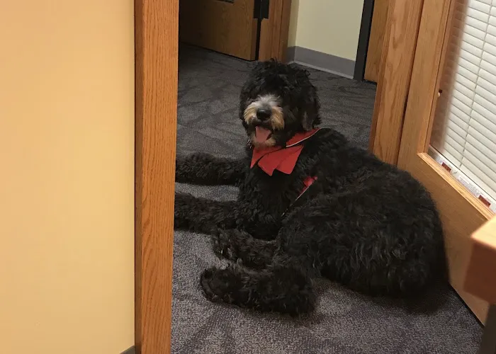 B & R Veterinary Clinic 12
