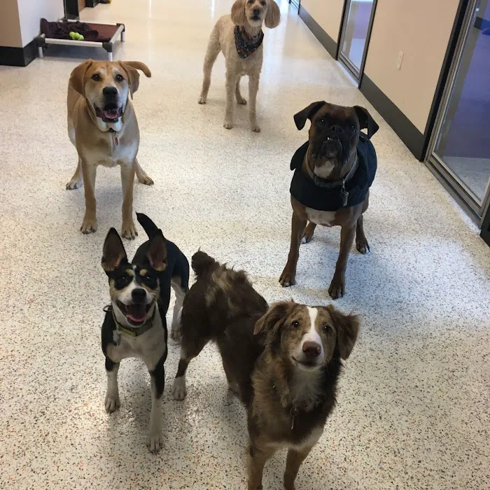 Waunakee Veterinary Clinic 12