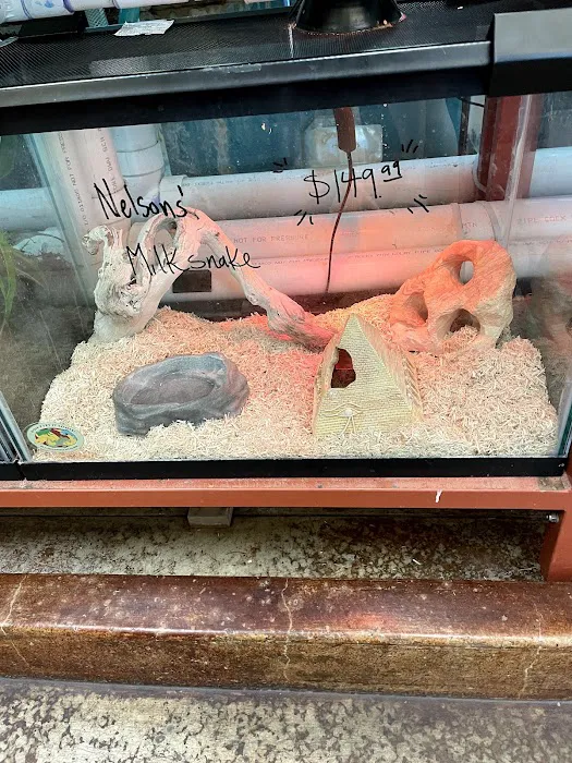 Animal Ark 12