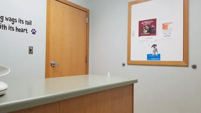 Village Animal Clinic 12