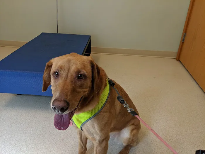 Village Animal Clinic 12