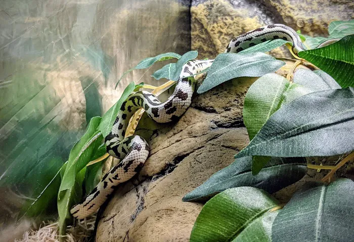 Great Basin Serpentarium 12