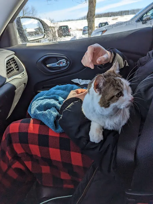 Oregon Veterinary Clinic 12