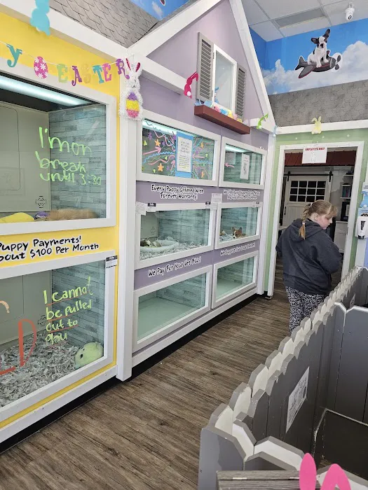 The Puppy Store Vineyard 12