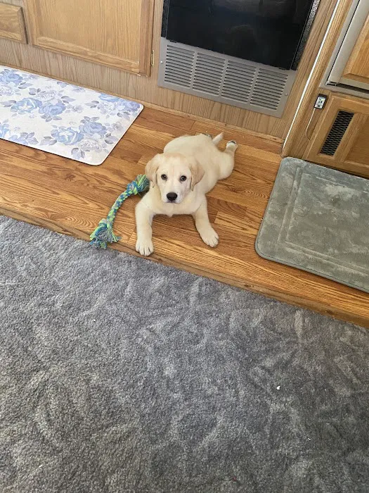 The Puppy Store Vineyard 12