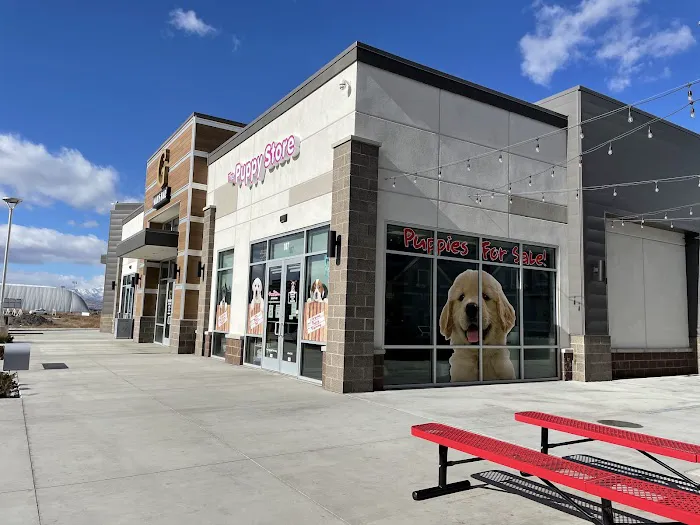 The Puppy Store Vineyard 12