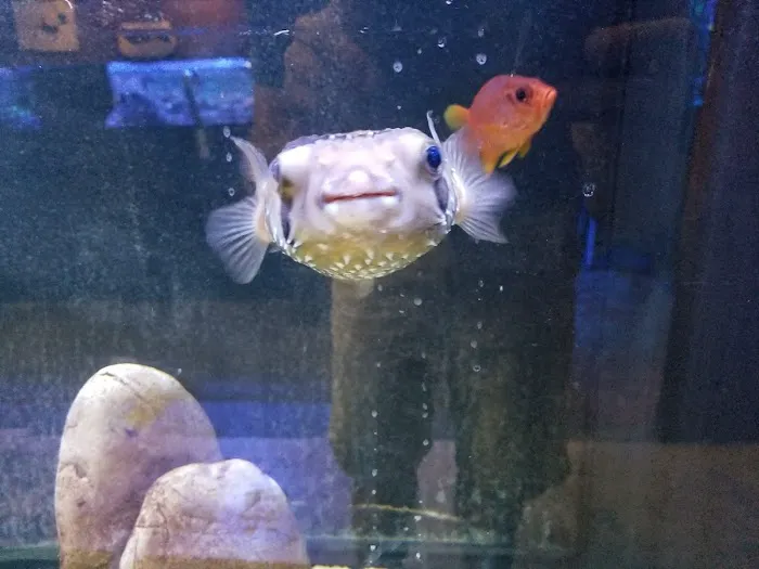 Aquatic Evolution LLC 12