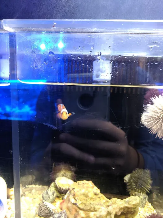 Aquatic Evolution LLC 12