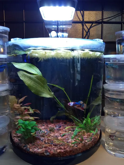Aquatic Evolution LLC 12